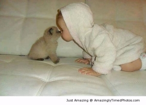 Amazing Two-lovable-babies-resizecrop--